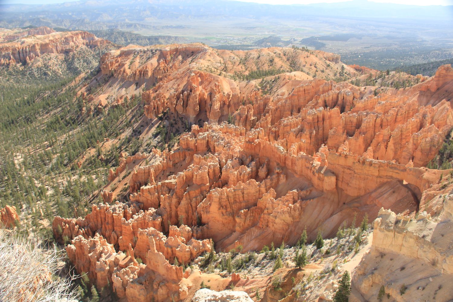 Bryce Point to Inspiration Point 